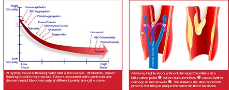 measurement of blood thickeness|how to measure blood viscosity.